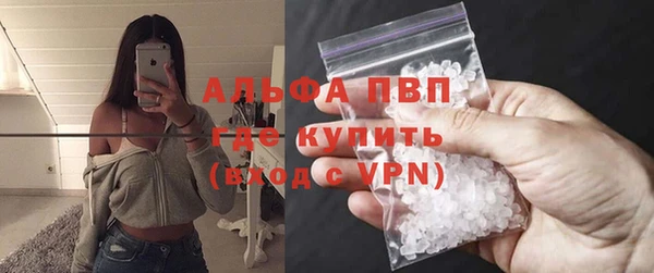 ГАЛЛЮЦИНОГЕННЫЕ ГРИБЫ Белокуриха