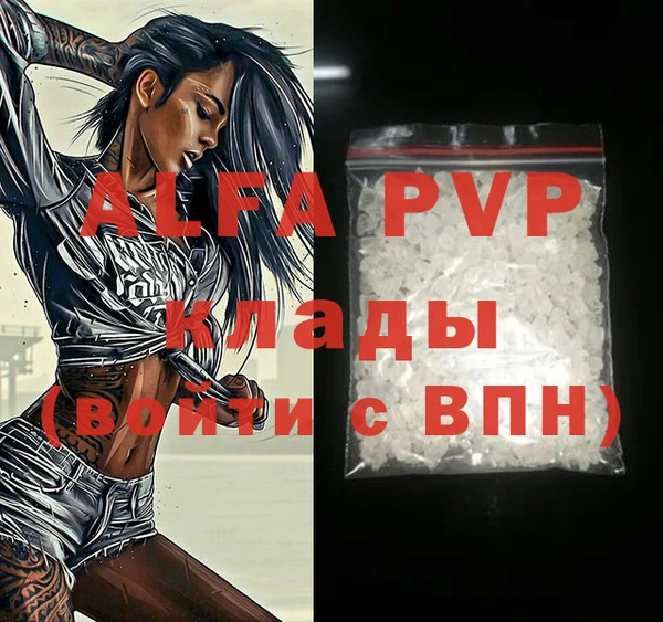 ГАЛЛЮЦИНОГЕННЫЕ ГРИБЫ Белокуриха