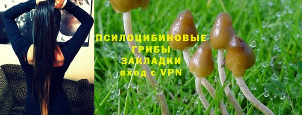 ГАЛЛЮЦИНОГЕННЫЕ ГРИБЫ Белокуриха